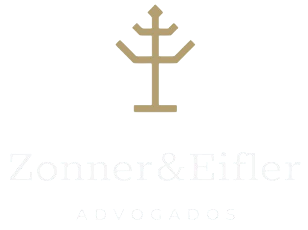 zonner logo 1-Photoroom